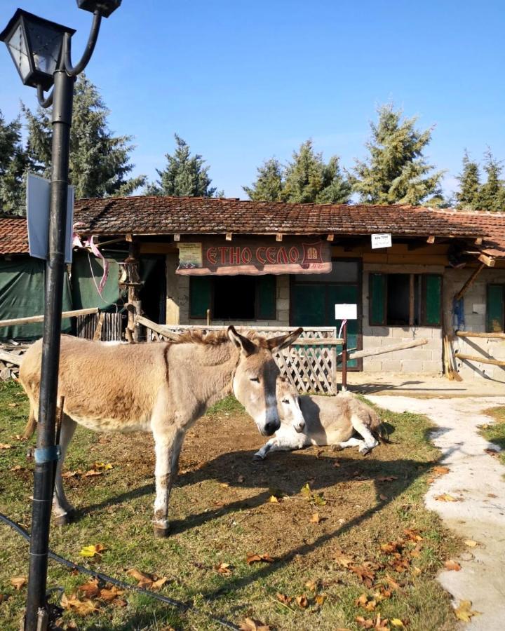 Hotel Etno Selo Timcevski Vojnik Exterior photo